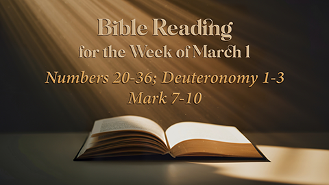 M Bible Reading Week of March 1