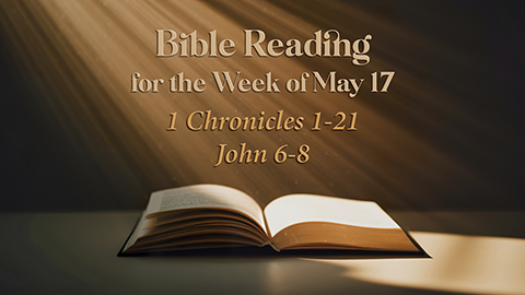 M Bible Reading Week of May 17