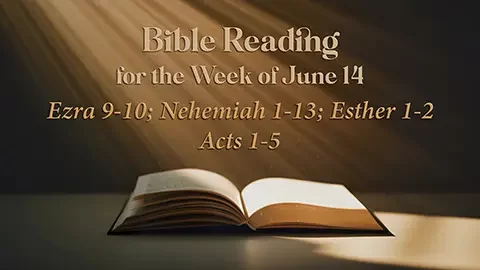 M Bible Reading Week of June 14