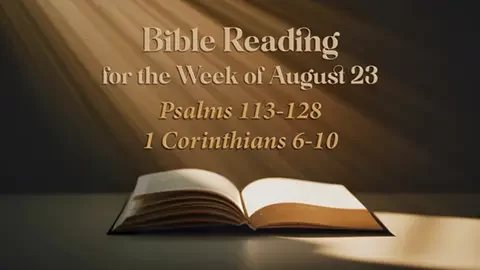 M Bible Reading Week of August 23